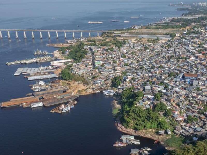 Dia da Amazônia: que região será deixada para as próximas gerações?