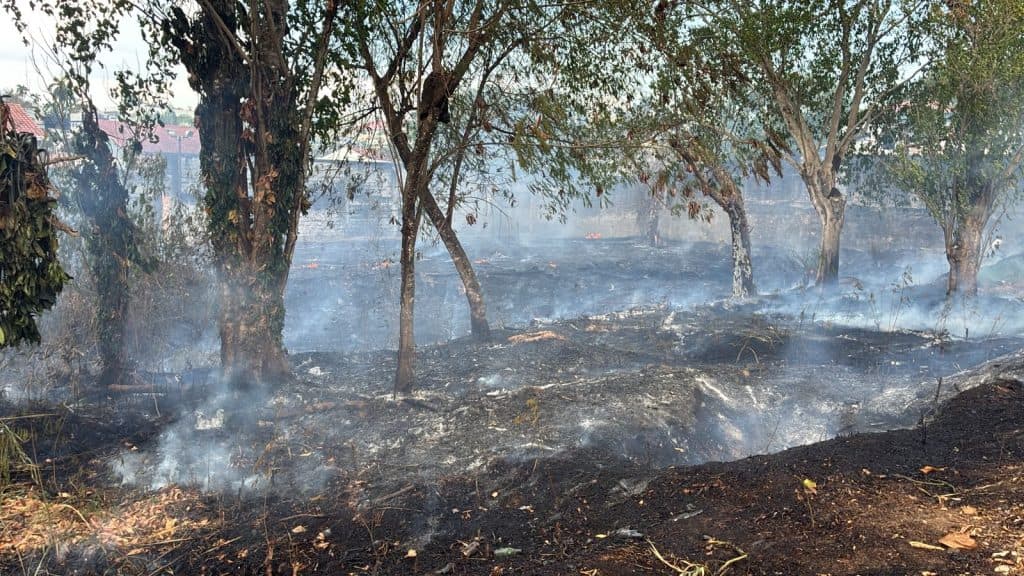 Incêndio atinge área de mata ao lado de condomínio em Manaus