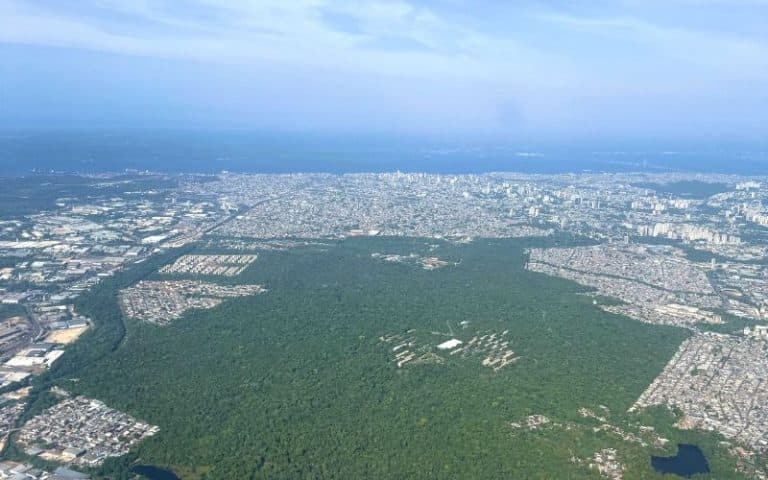 Entre prédios e avenidas, uma floresta amazônica de 700 hectares sobrevive em Manaus