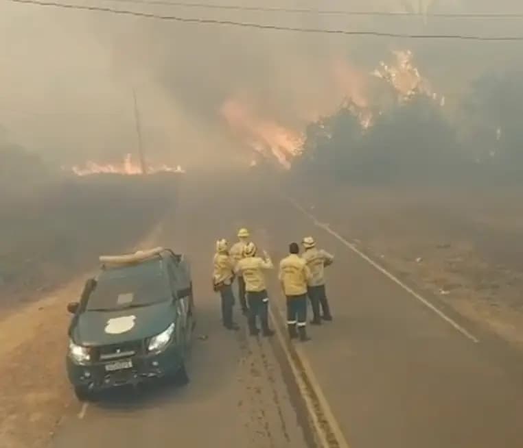 Incêndio volta a atingir vegetação na AM-254, em Autazes