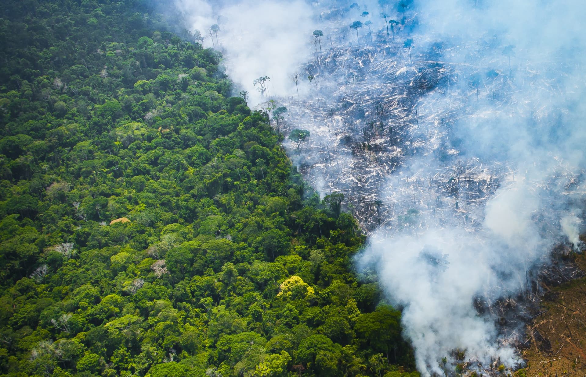 Incêndios criminosos no AM podem gerar multa de R$ 10 mil e prisão