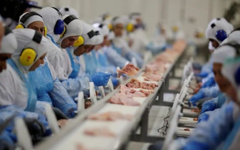 Cinco países restringem importações de frango do Brasil
