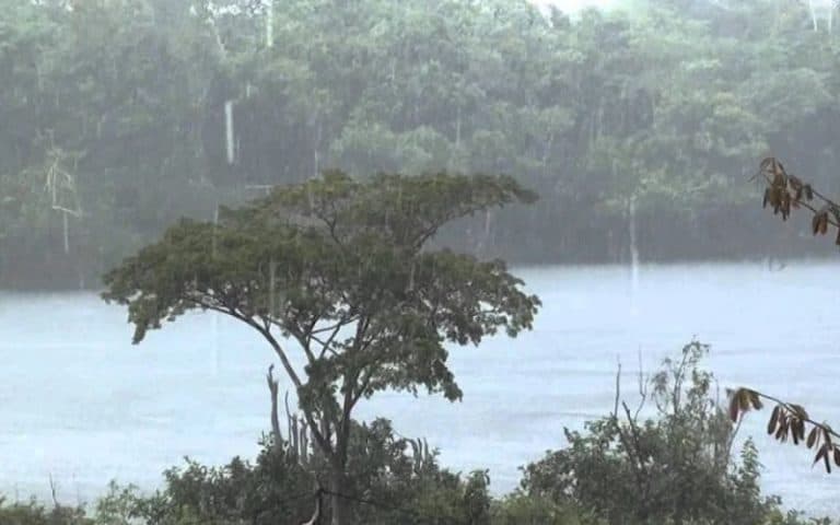 Inmet alerta para chuvas intensas e tempestades em Manaus e no interior