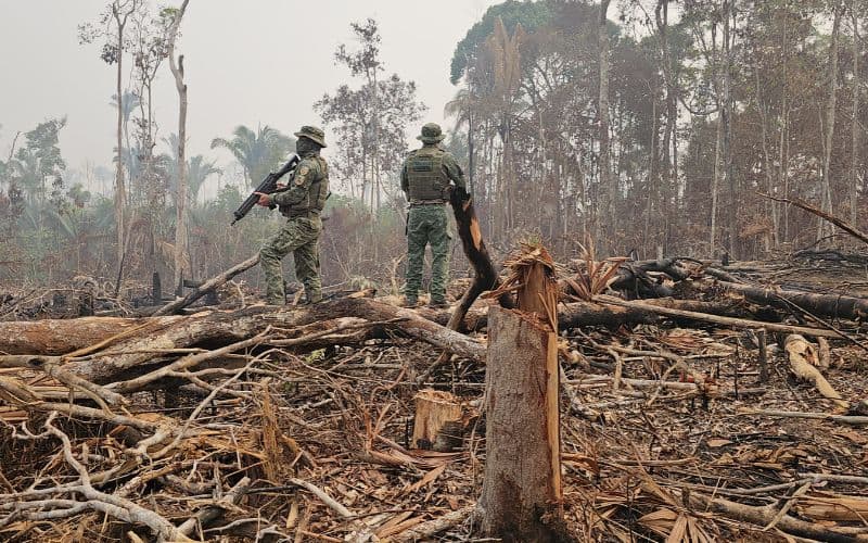 Ação humana lidera emissões de carbono na Amazônia, aponta estudo do Inpe