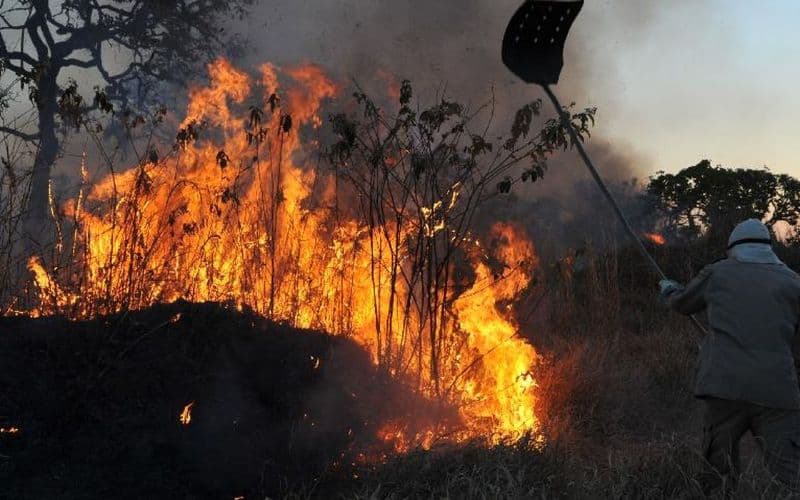 Governo federal reforça combate às queimadas no Amazonas com apoio militar
