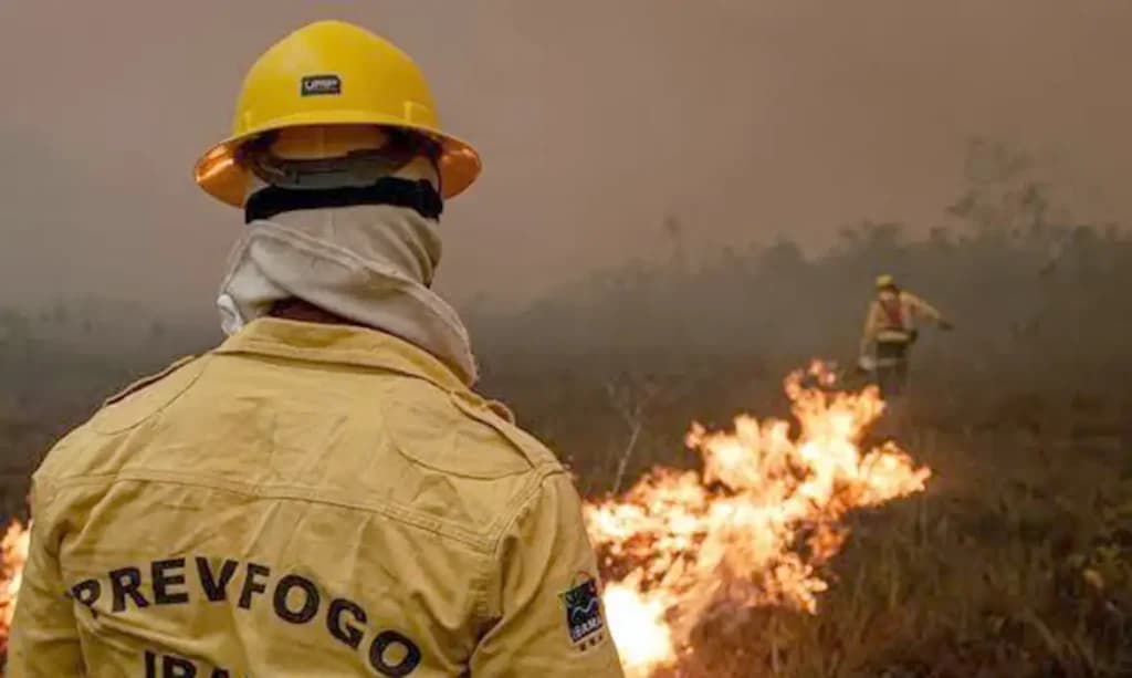 MPF cobra respostas de 9 prefeituras do AM sobre queimadas