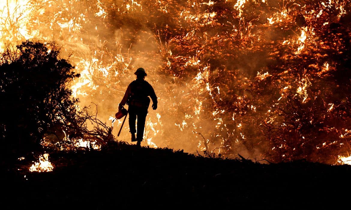 Incêndios: Portugal aciona mecanismo europeu e Espanha envia dois aviões