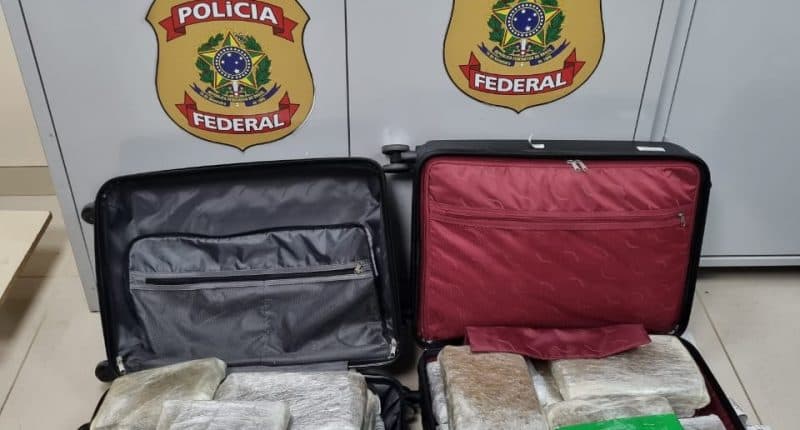 28 quilos de maconha são apreendidos em Aeroporto de Manaus