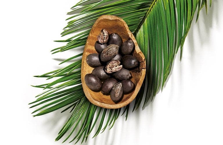 Patauá: o azeite amazônico e seus benefícios para o cabelo