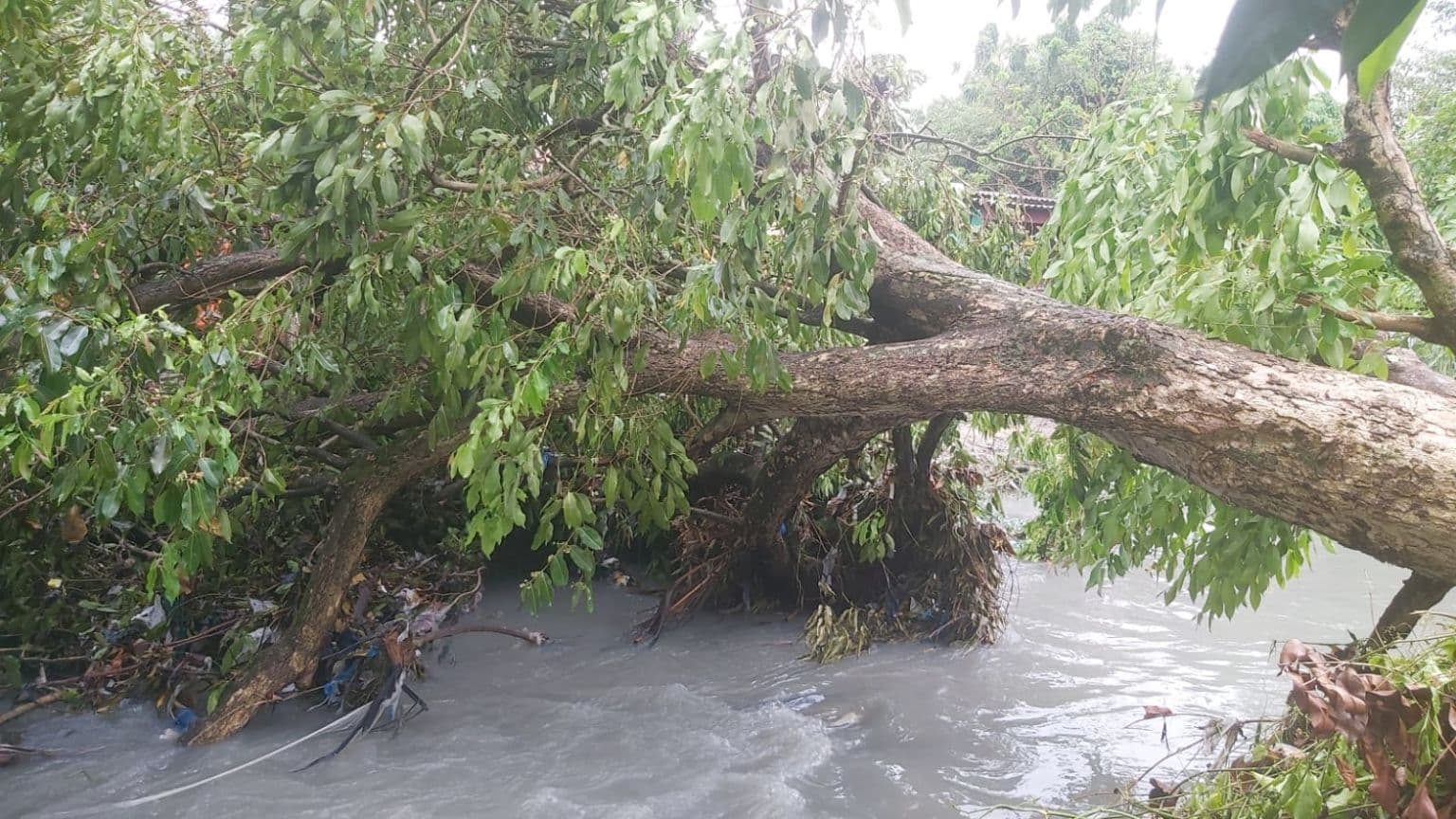 Forte chuva causa estragos em bairros de Manaus