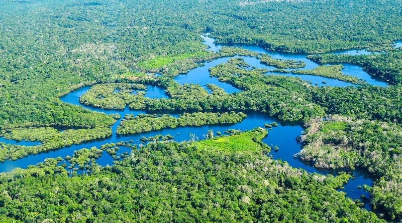 EUA anuncia investimento de US$500 milhões ao Fundo Amazônia