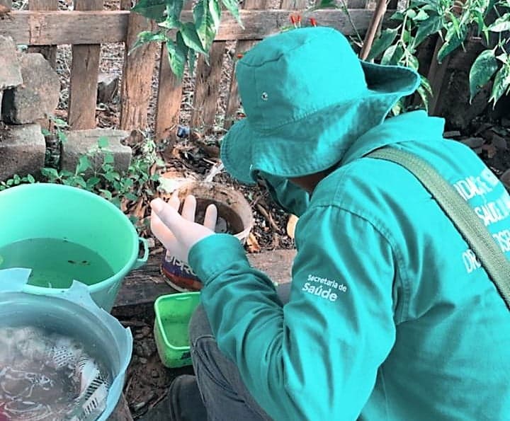 176 novos casos e 4 mortes por dengue são registrados no AM