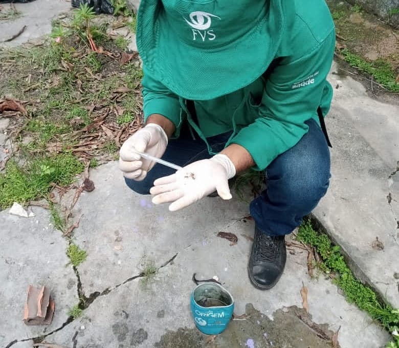 Três mortes e 97 casos de dengue são registrados no AM