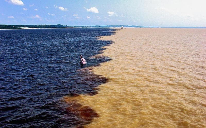 Manaus, Manacapuru e Itacoatiara devem enfrentar inundações, diz alerta de cheia