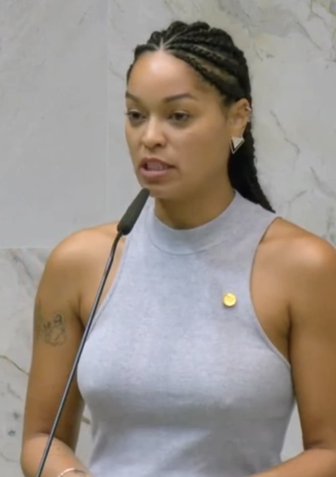 Deputada denúncia racismo em plenário