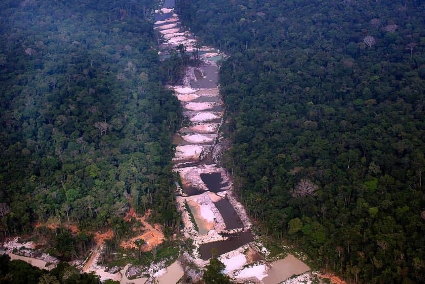 Alertas de desmatamento: Amazônia tem 3º pior resultado para março