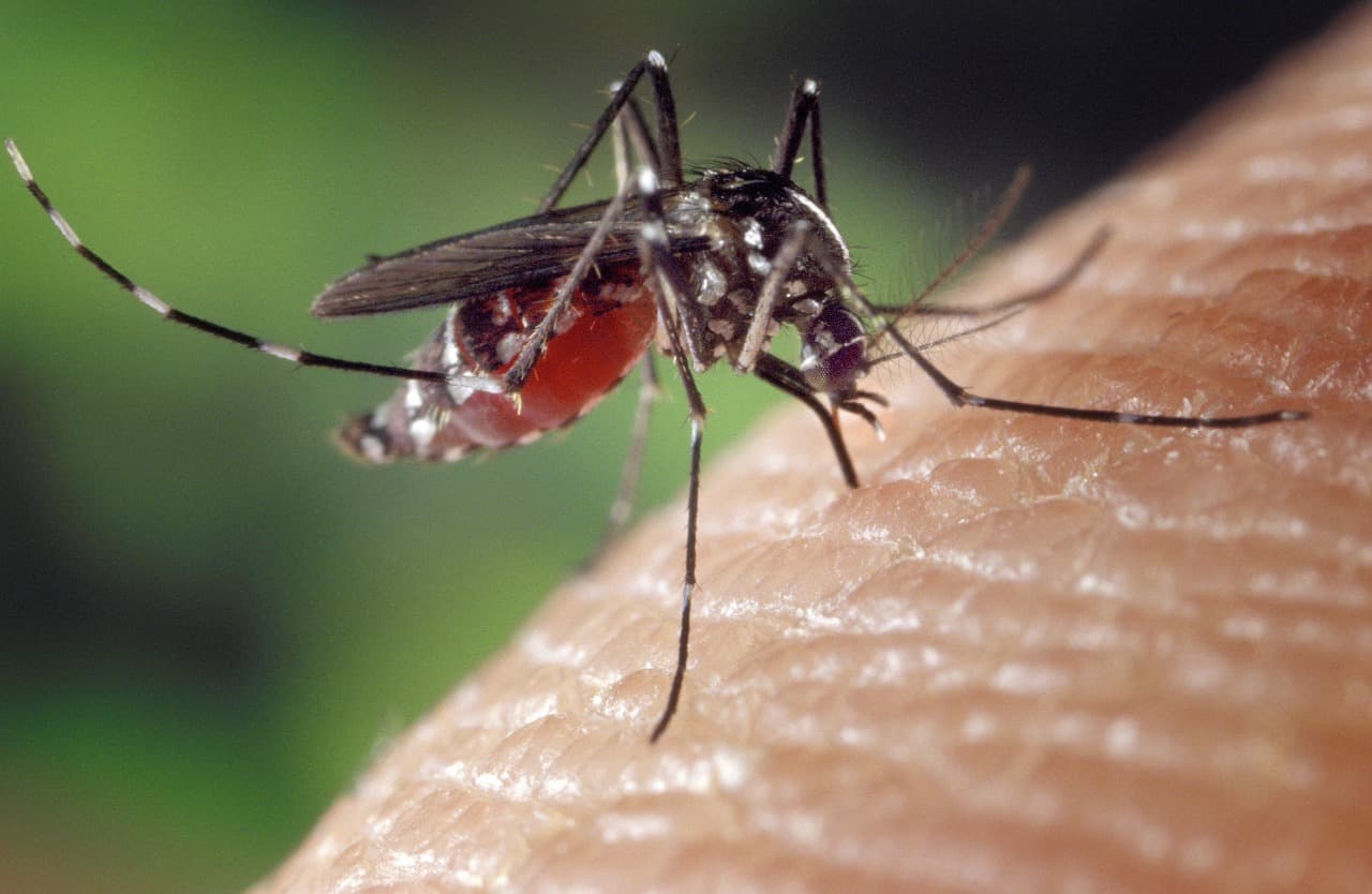 Faixa etária de 20 a 39 é a mais acometida pela dengue no AM, diz secretário de Saúde