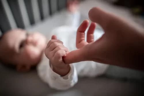Campanha quer incluir maternidade como experiência no currículo