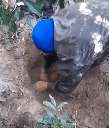 VÍDEO: corpo de mototaxista é encontrado em cova rasa no AM