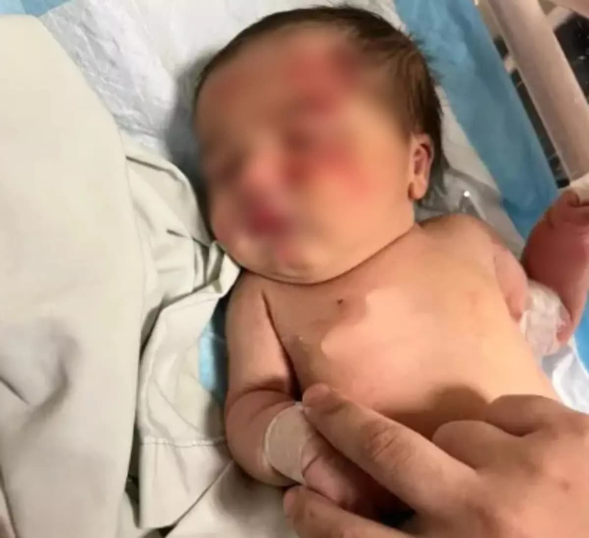 Cachorro de rua encontra bebê abandonada dentro de saco de lixo