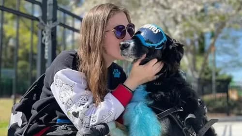 VÍDEO: Cachorro “salva” tutora com síndrome rara e viraliza na web