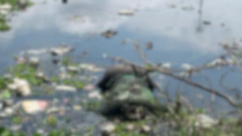 VÍDEO: Corpo de suposto assaltante é encontrado “boiando” em igarapé de Manaus