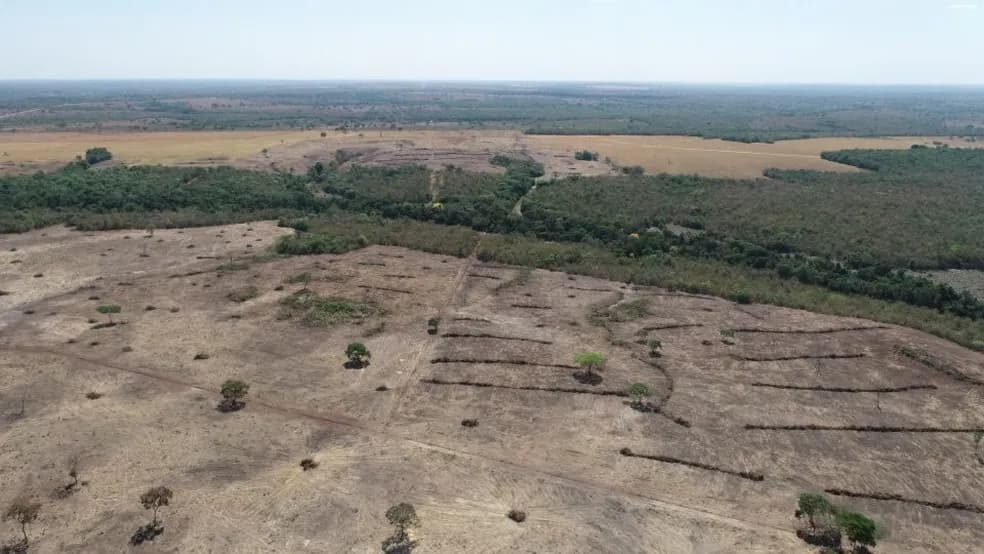 Ex-presidente do Naturatins e mais quatro são condenados por desmatamento ilegal
