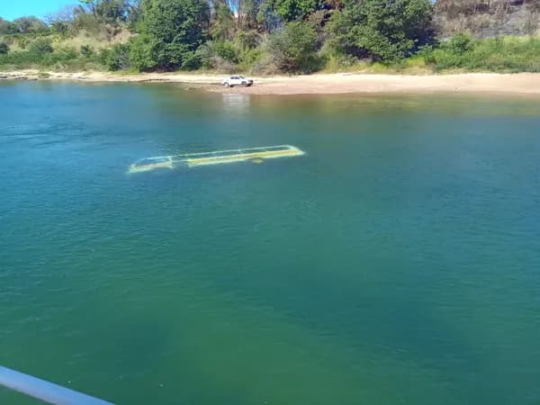 VÍDEOS: Micro-ônibus afunda no rio Tocantins após cair de balsa