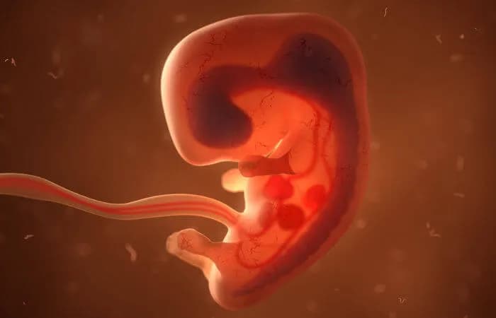 O que pode mudar com a aprovação do ‘PL do Aborto’ no Brasil? Entenda