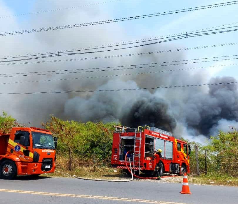 Mais de 200 incêndios foram contidos em Manaus durante agosto