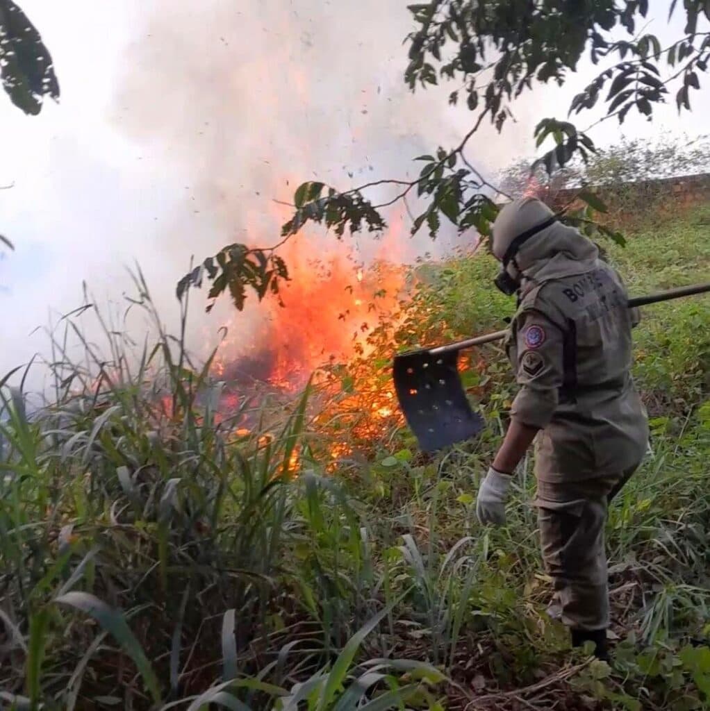 Operação Aceiro: 224 incêndios foram contidos no Sul do AM