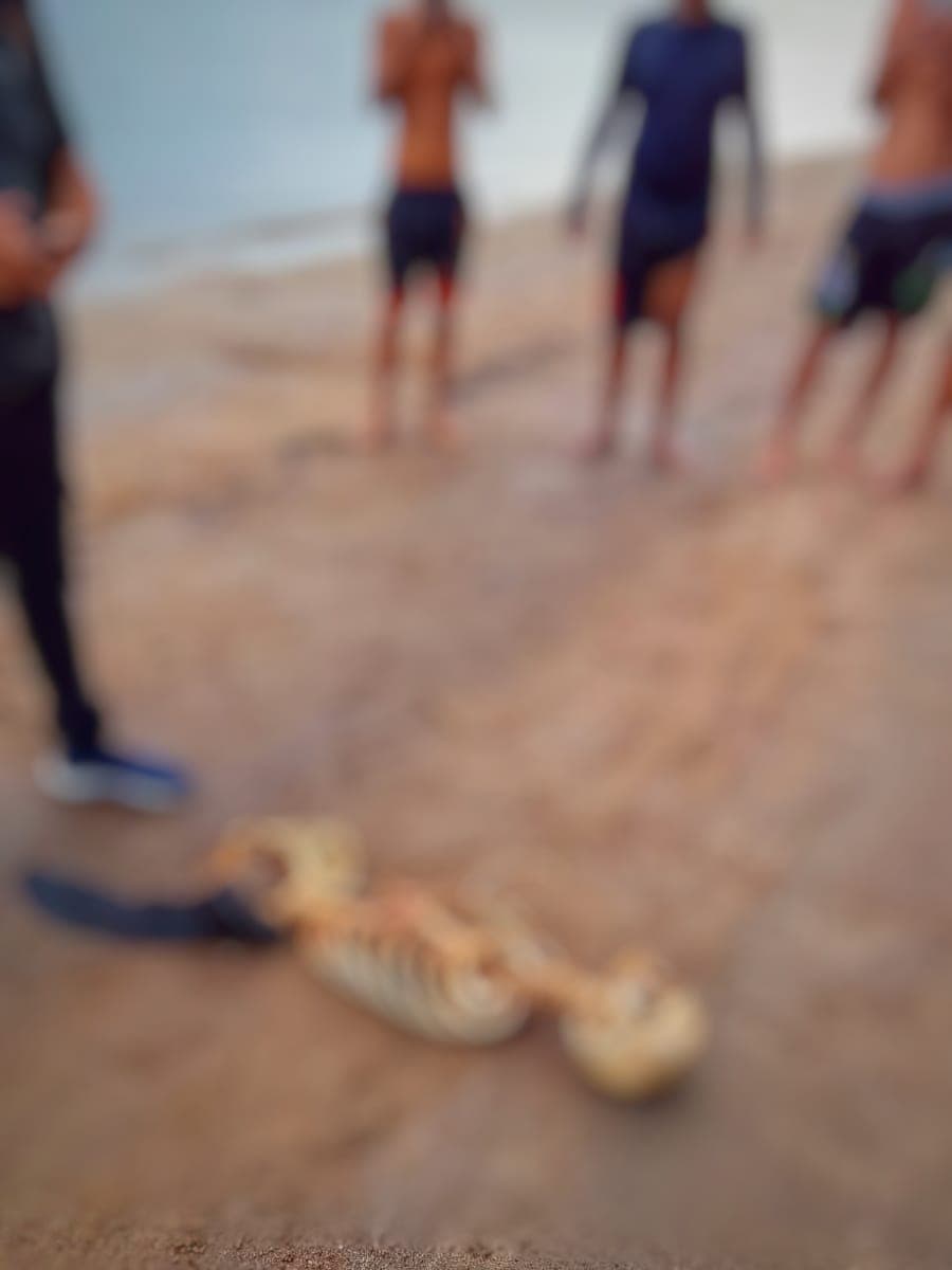 Em Manaus, esqueleto humano é encontrado na Praia da Ponta Negra