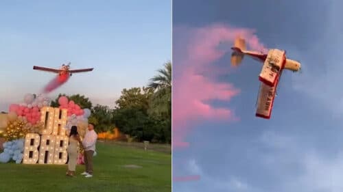 VÍDEO: Avião cai e mata piloto que fez voo rasante durante ‘chá revelação’