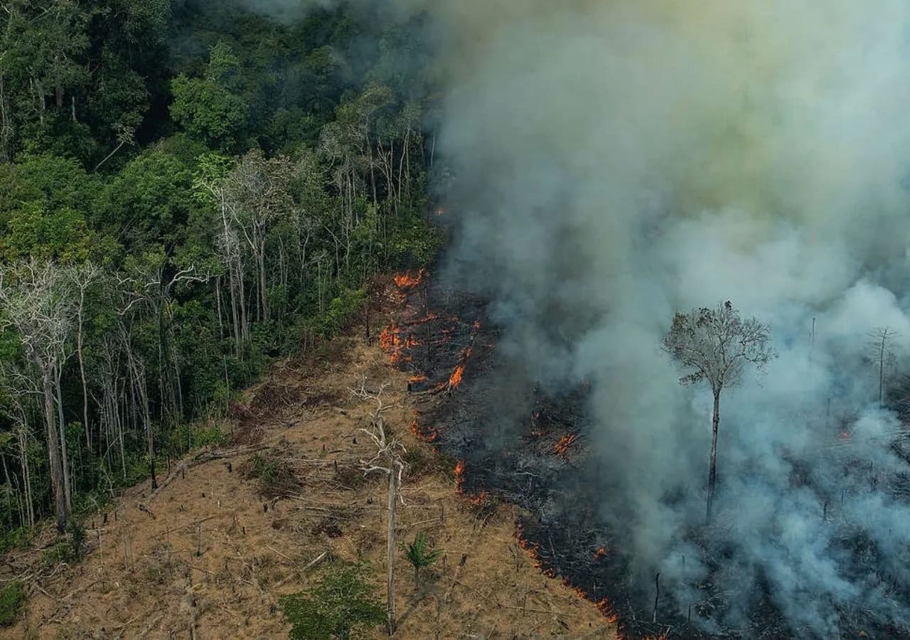 Setembro registra mais de 2,7 mil focos de incêndios no AM