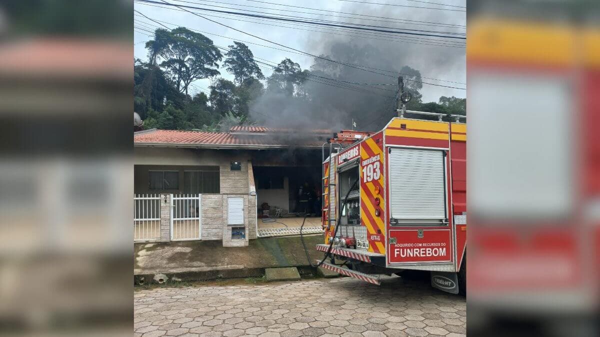 Homem mata seis gatos ao atear fogo na casa da ex-companheira
