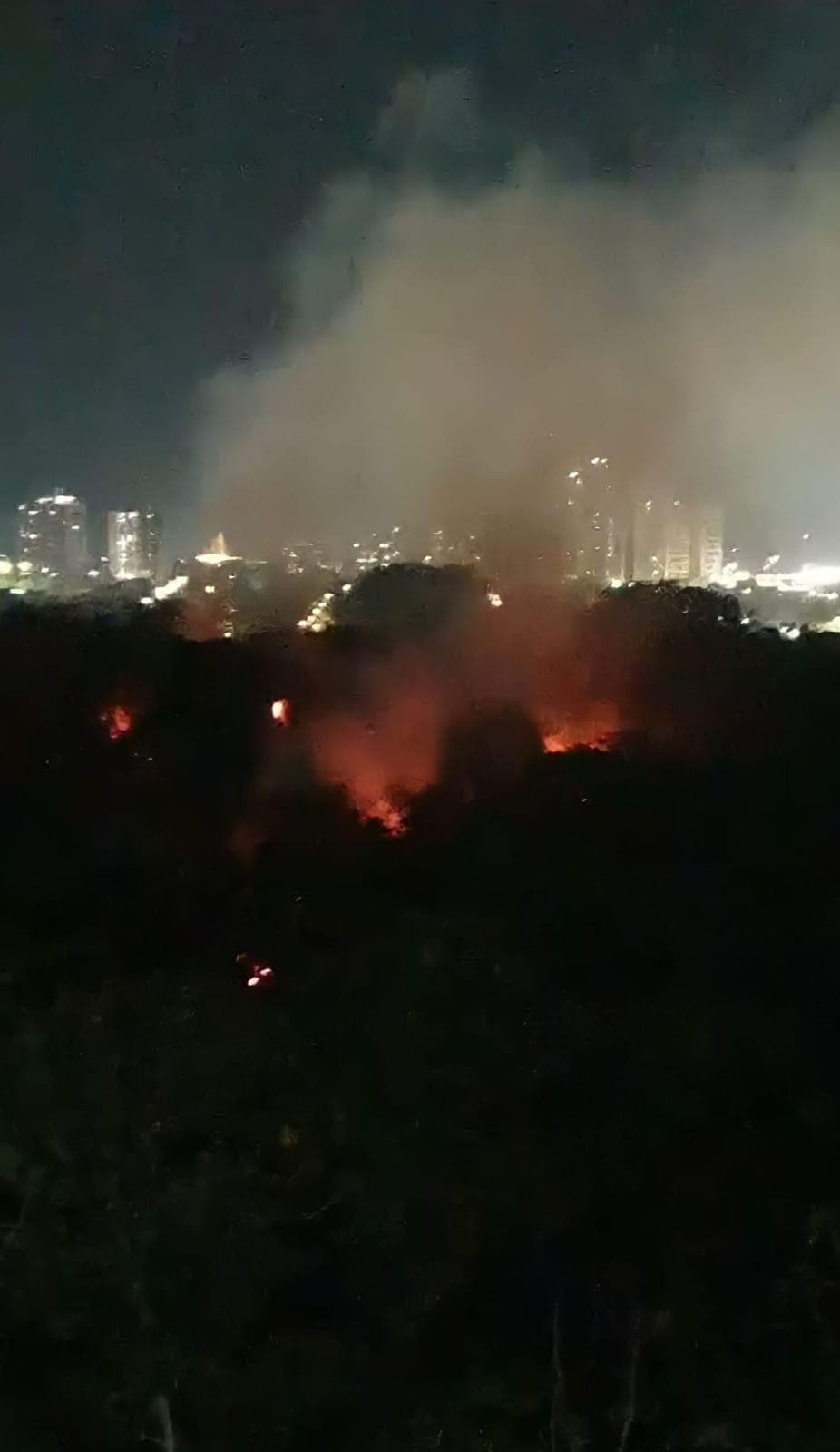 VÍDEO: Incêndio de grandes proporções atinge área de mata no Dom Pedro