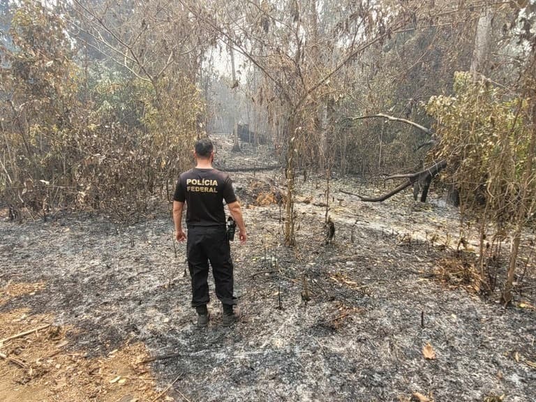Homens são presos por queimadas ilegais em Iranduba, no AM
