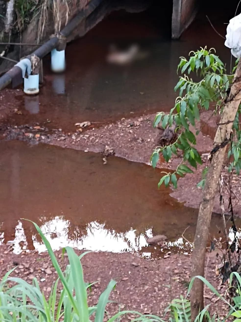 VÍDEO: Homem é resgatado em córrego com ferimentos e hipotermia em Paraíso do Tocantins