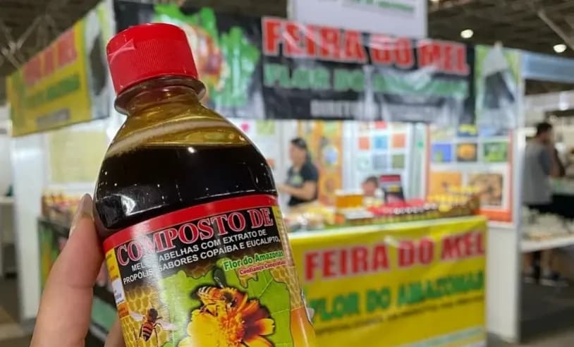 Mel de Jandaíra do Amazonas é premiado o melhor do Brasil