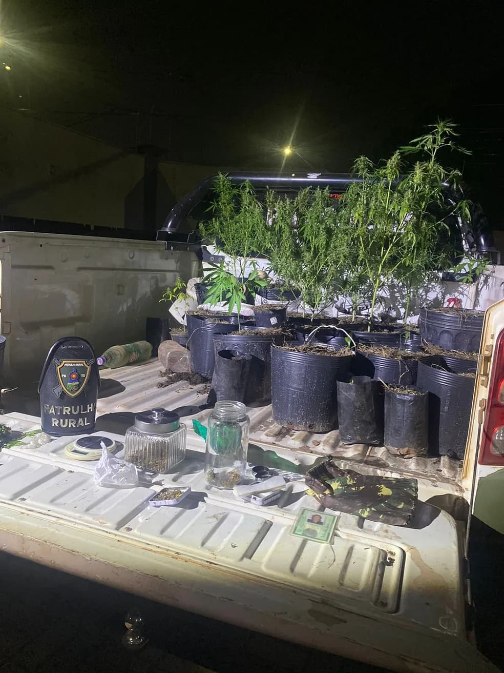 Homem é preso após polícia flagrar 38 pés de maconha em chácara no Tocantins