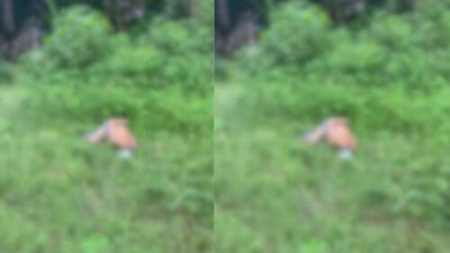 VÍDEO: Corpo é encontrado em Manaus com fita adesiva enrolada na cabeça, além de mãos e pés amarrados