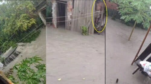 VÍDEOS: Chuva intensa nesta sexta (29) causa alagamentos e estragos em Manaus