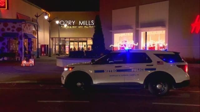 VÍDEO: Polícia dos EUA é chamada para ocorrência de tiros em shopping, mas não encontra evidências
