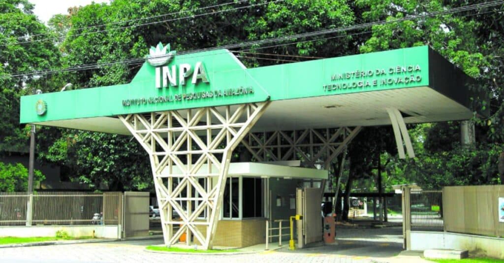 Inpa e UEA oferecem seleção para mestrado; veja como participar