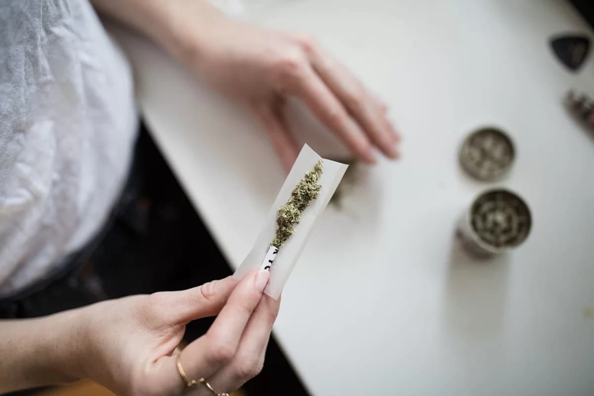 Cientistas dos EUA propõem flexibilização da maconha