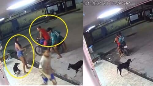 VÍDEO: Polícia frustra tentativa de assalto no meio da rua, em Manaus