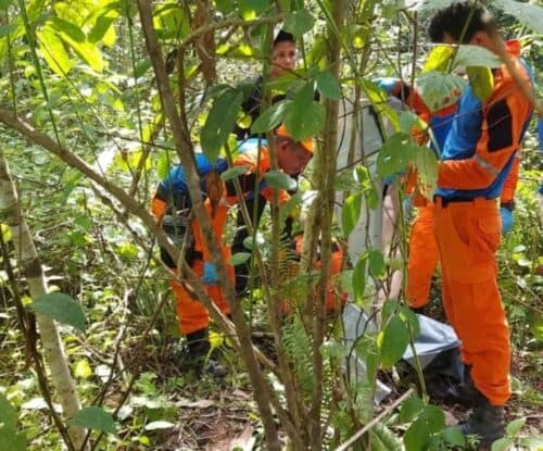 Mulher é encontrada morta e filho de 4 anos degolado em área de mata, no AM