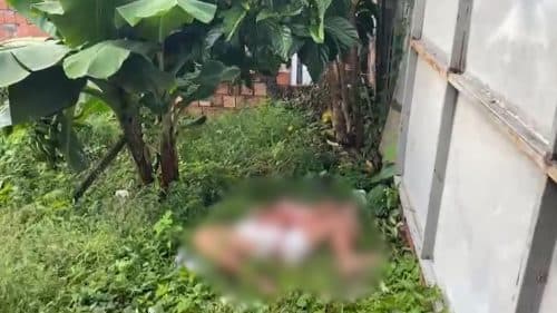 VÍDEO: Homem é morto a tiros e jogado em área de mata, em Manaus