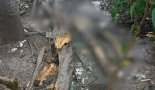 Cadáver de homem é encontrado em estado de decomposição próximo a condomínio, em Manaus