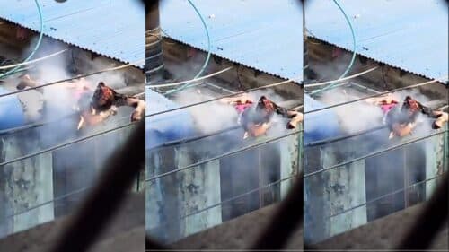 VÍDEO: Homem vira ‘churrasquinho’ ao tentar roubar fiação elétrica